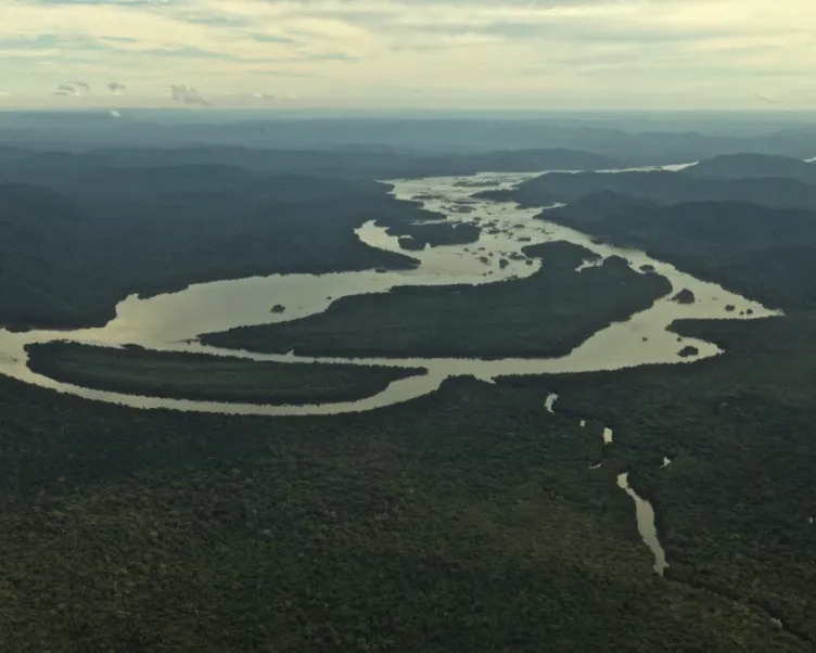 Amazon fecha parceria para vender produtos da Amazônia com garantia sustentável