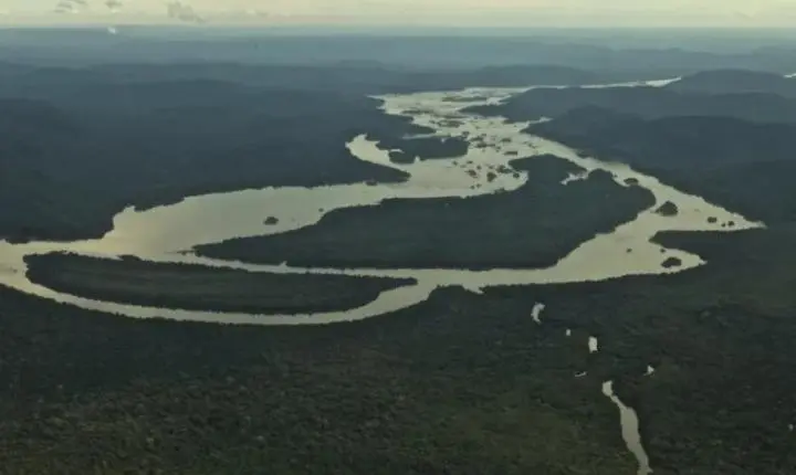 Amazon fecha parceria para vender produtos da Amazônia com garantia sustentável